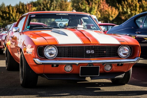 Red Chevrolet Camaro Muscle Car