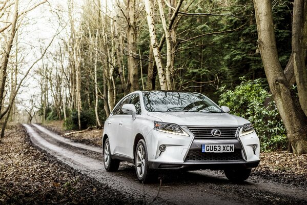 Lexus rx 450h 2012 in weißer Farbe