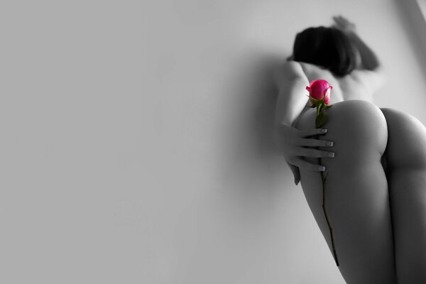 Ragazza nuda in posa con una rosa contro il muro