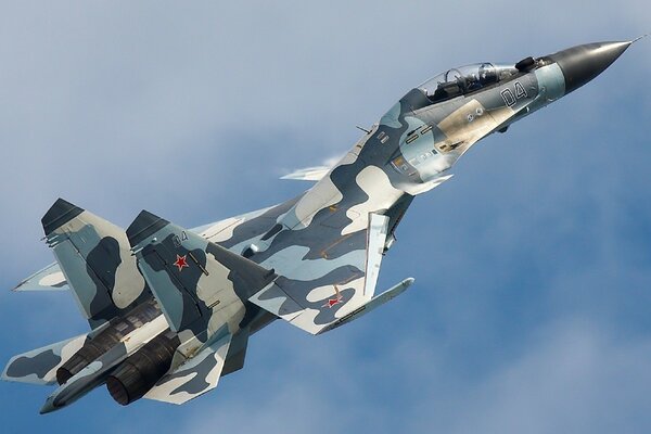 Avión de combate en camuflaje vuela