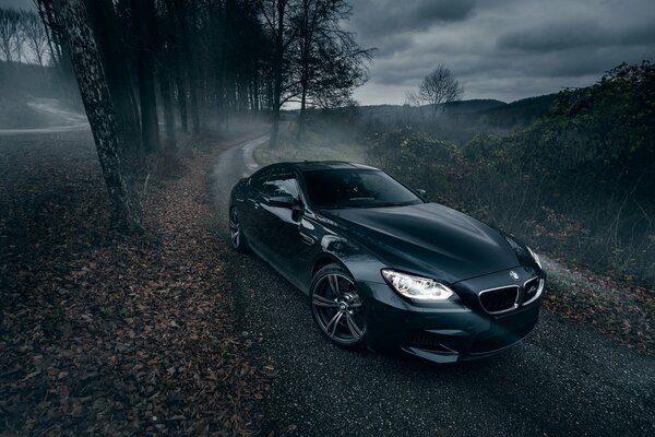 Bmw m6 drives along the road along the forest belt