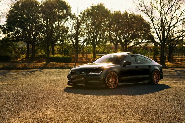 Morning landscape and Audi a7 in the sun