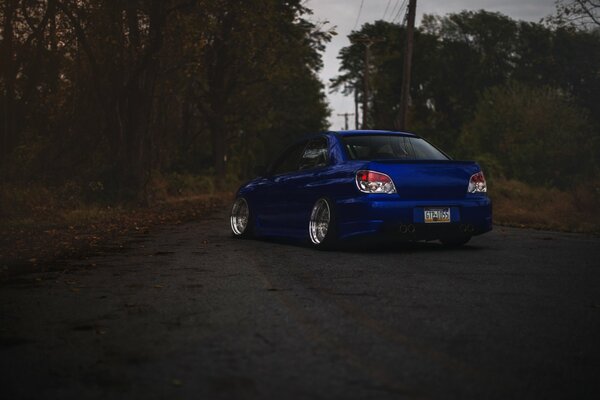 A blue Subaru VRX stands in the woods