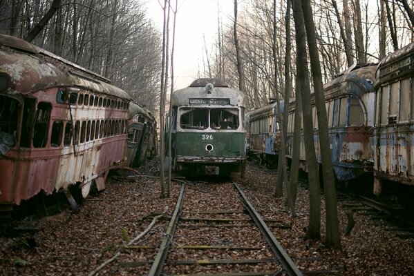 Una flota abandonada de tranvías antiguos