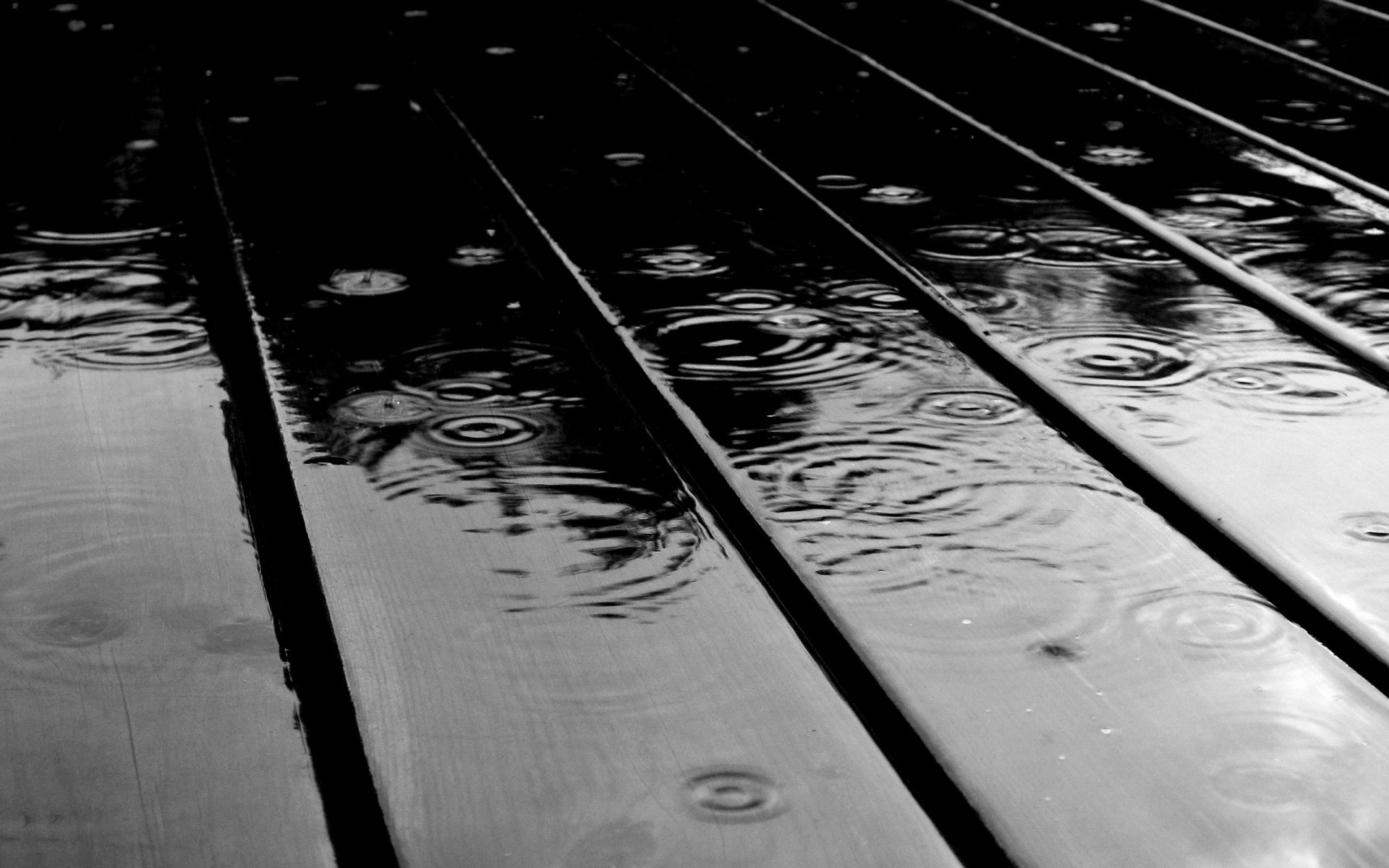 makro tropfen tropfen regen regen wasser tafel planken