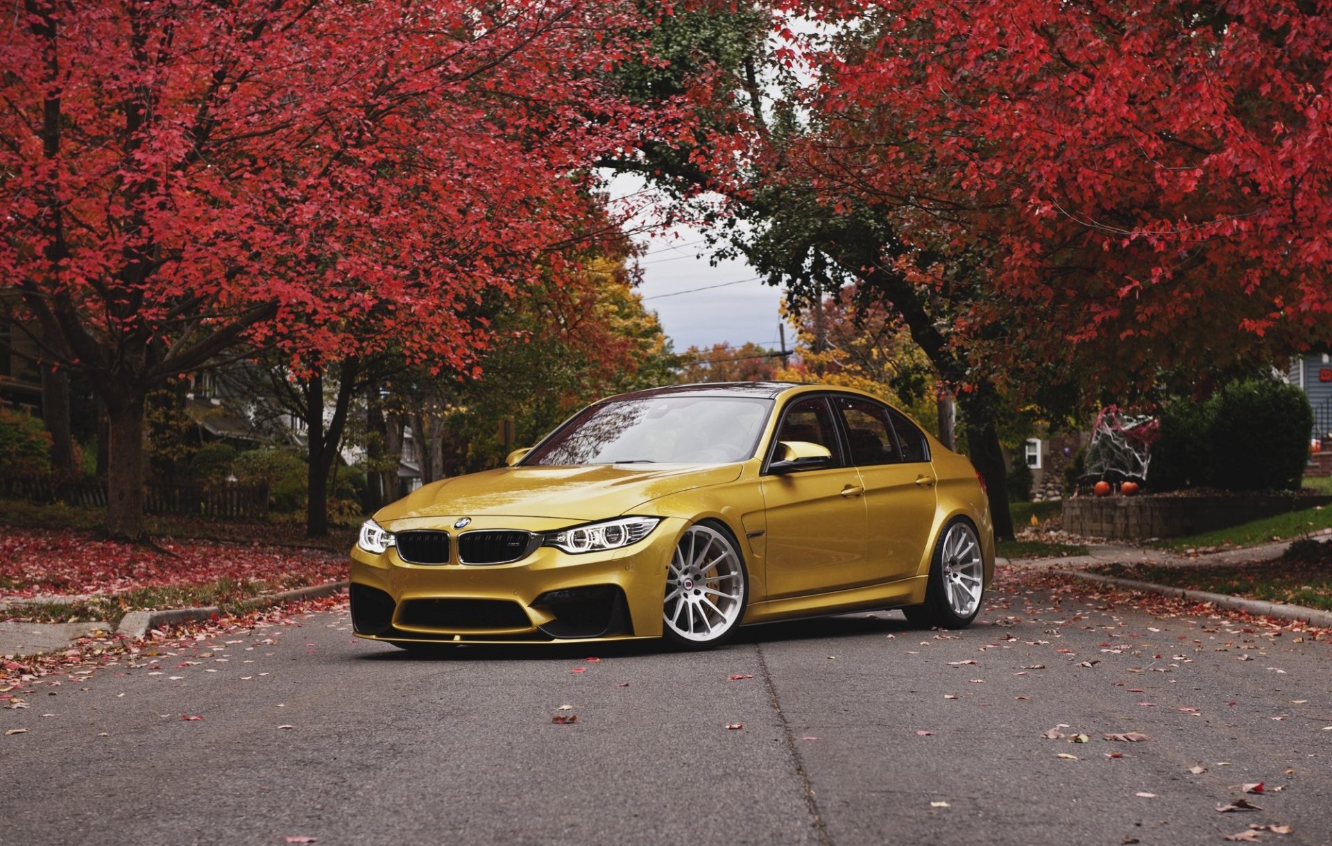 bmw m3 f80 engelsaugen herbst bmw vorne gesicht räder