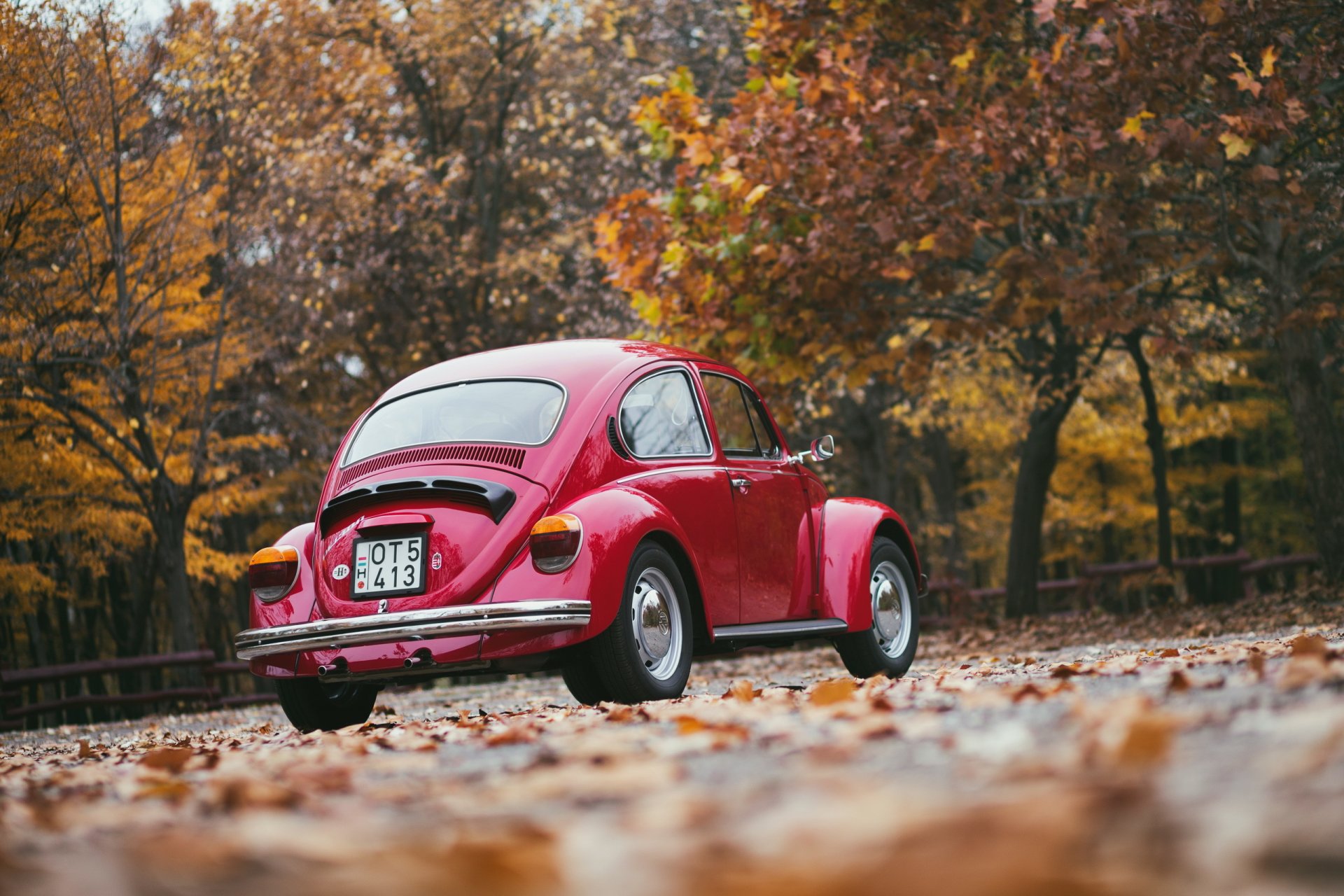 coche ciudad otoño