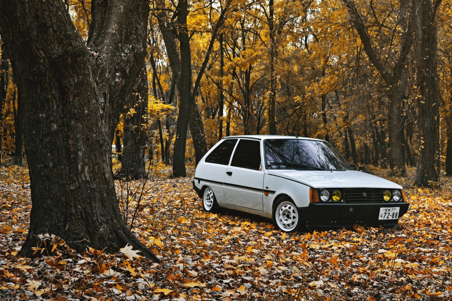 zaz 1102 tavria otoño hojas posición