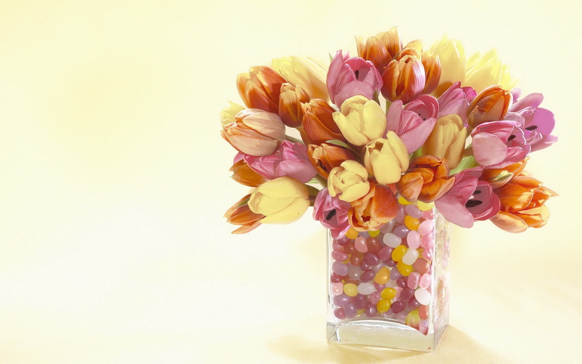 fleurs vase tulipes bouquet