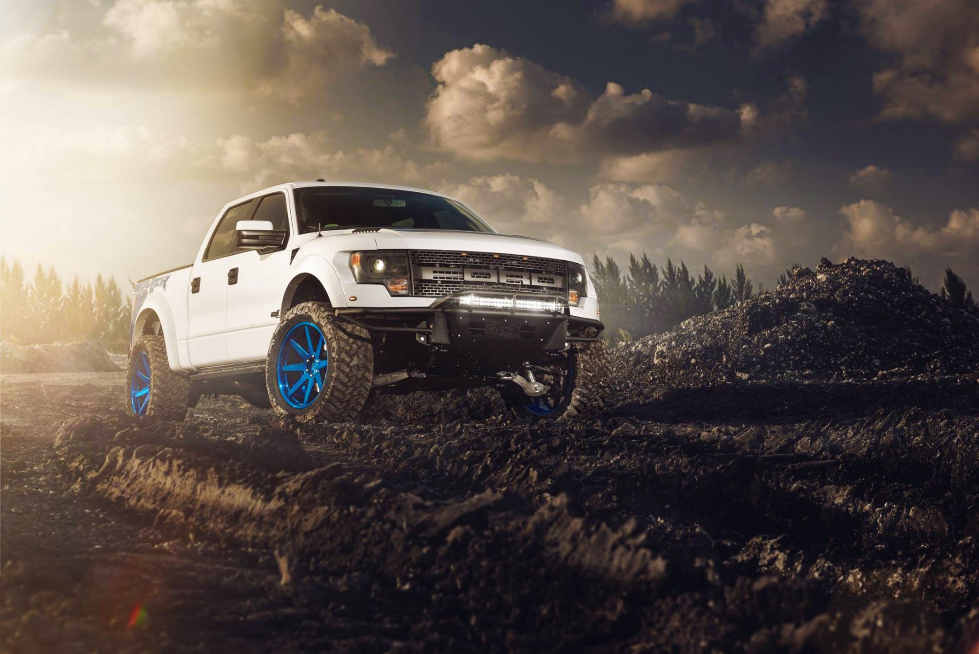 ford f-150 raptortrax weiß räder sonne vorne