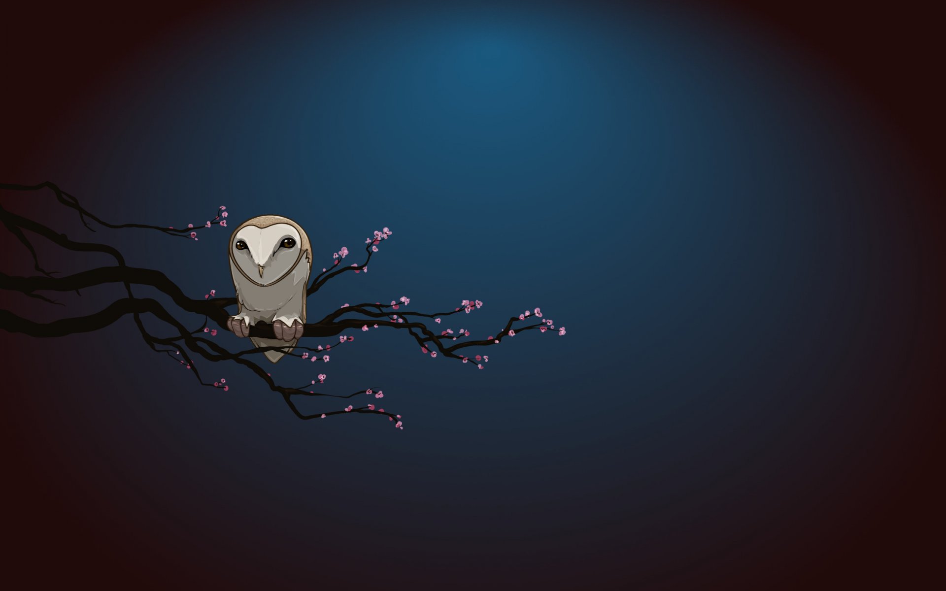 minimalisme fleurs hibou nuit branche simplicité fond sombre oiseau dessin sombre anime cyan