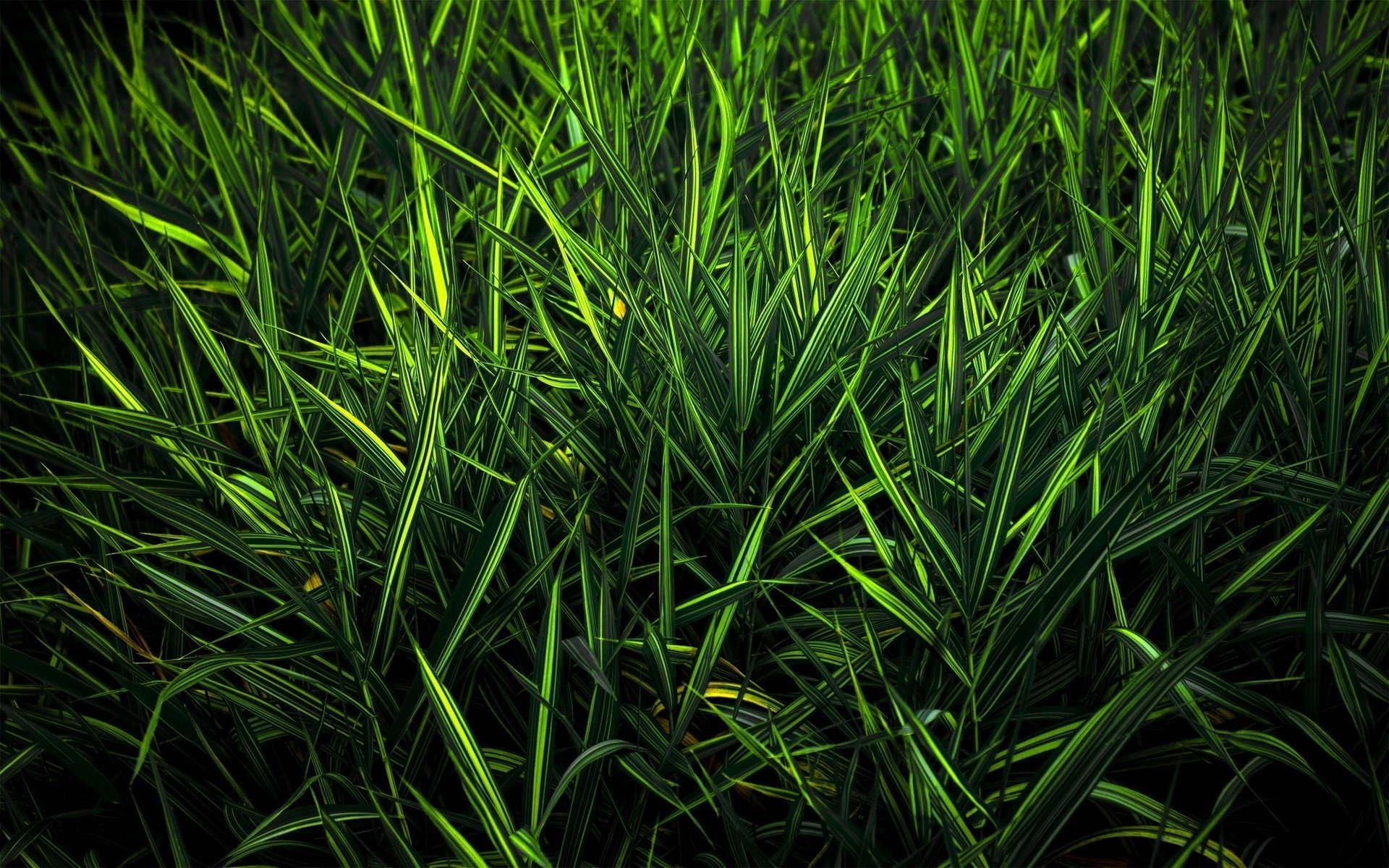 grass greens color