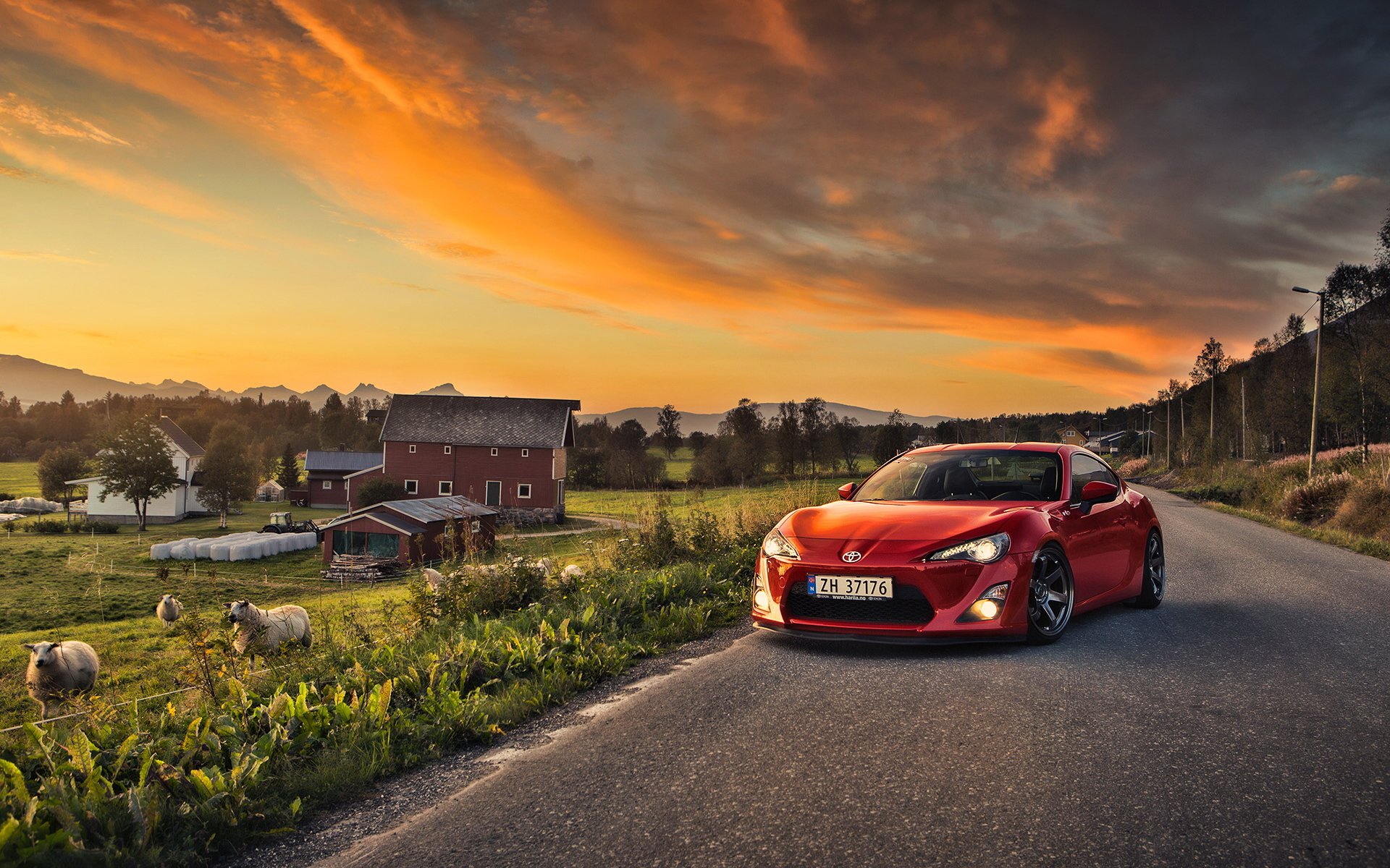 toyota gt86 auto landschaft schafe