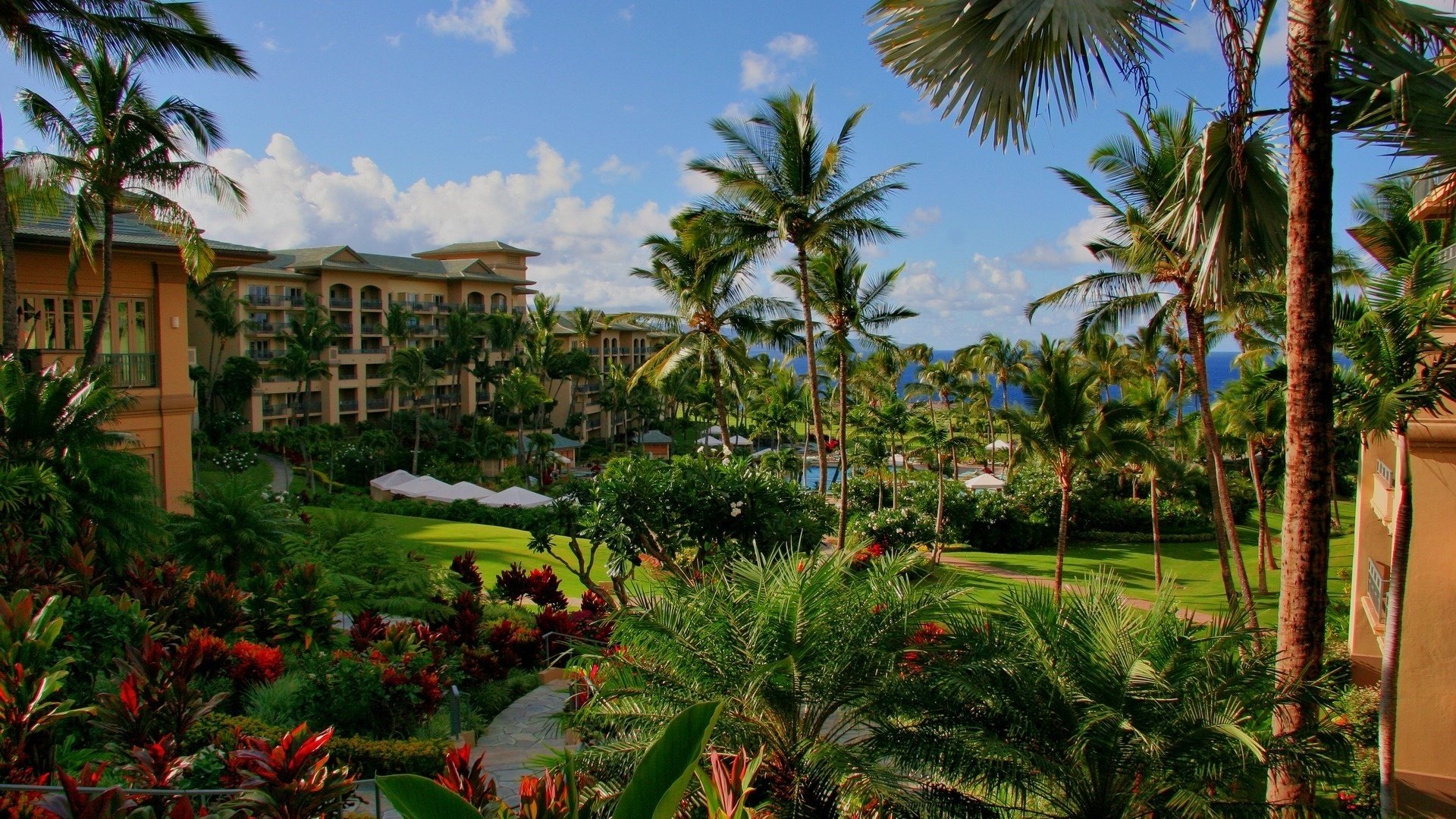 fiori hawaii hotel palme piscina mare calore vacanze città