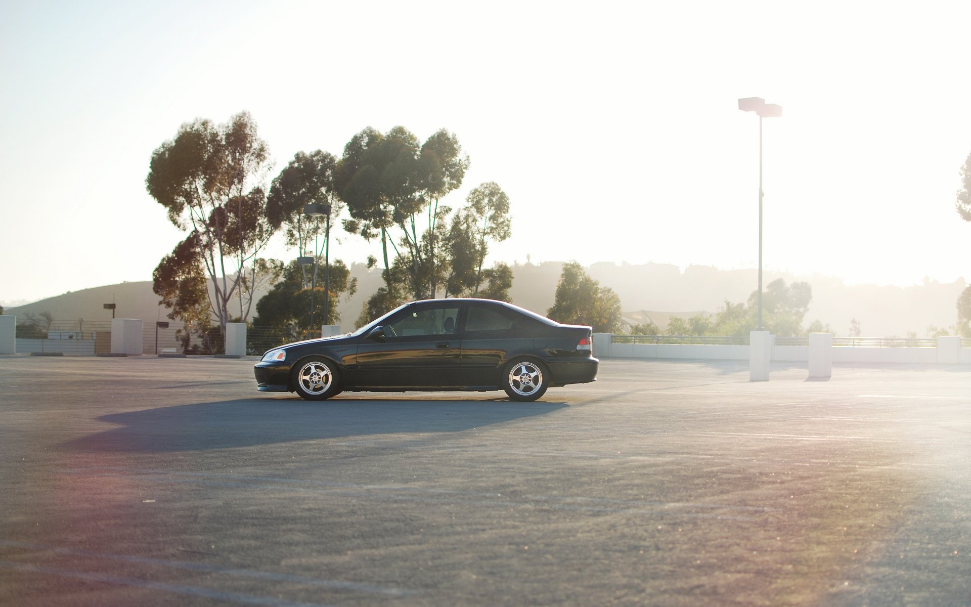 honda civic noir voiture