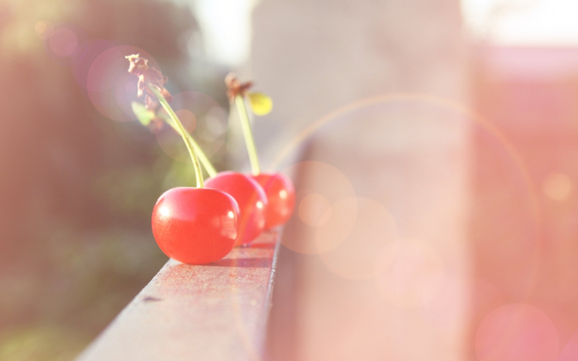 beere frucht balkon licht strahlen blendung kirsche stimmung kirsche früchte