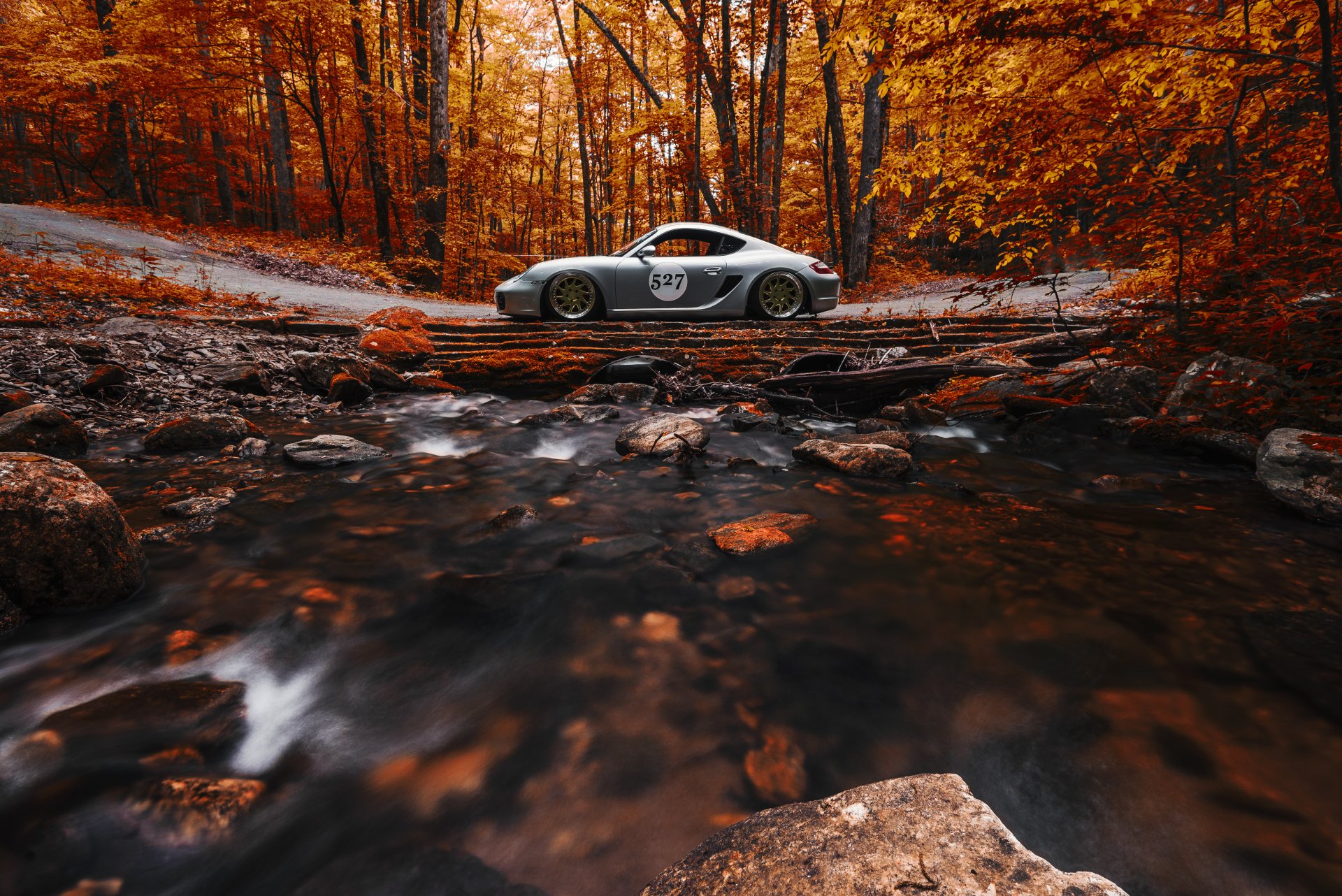 porsche cayman posición trabajo bosque naranja lado ver