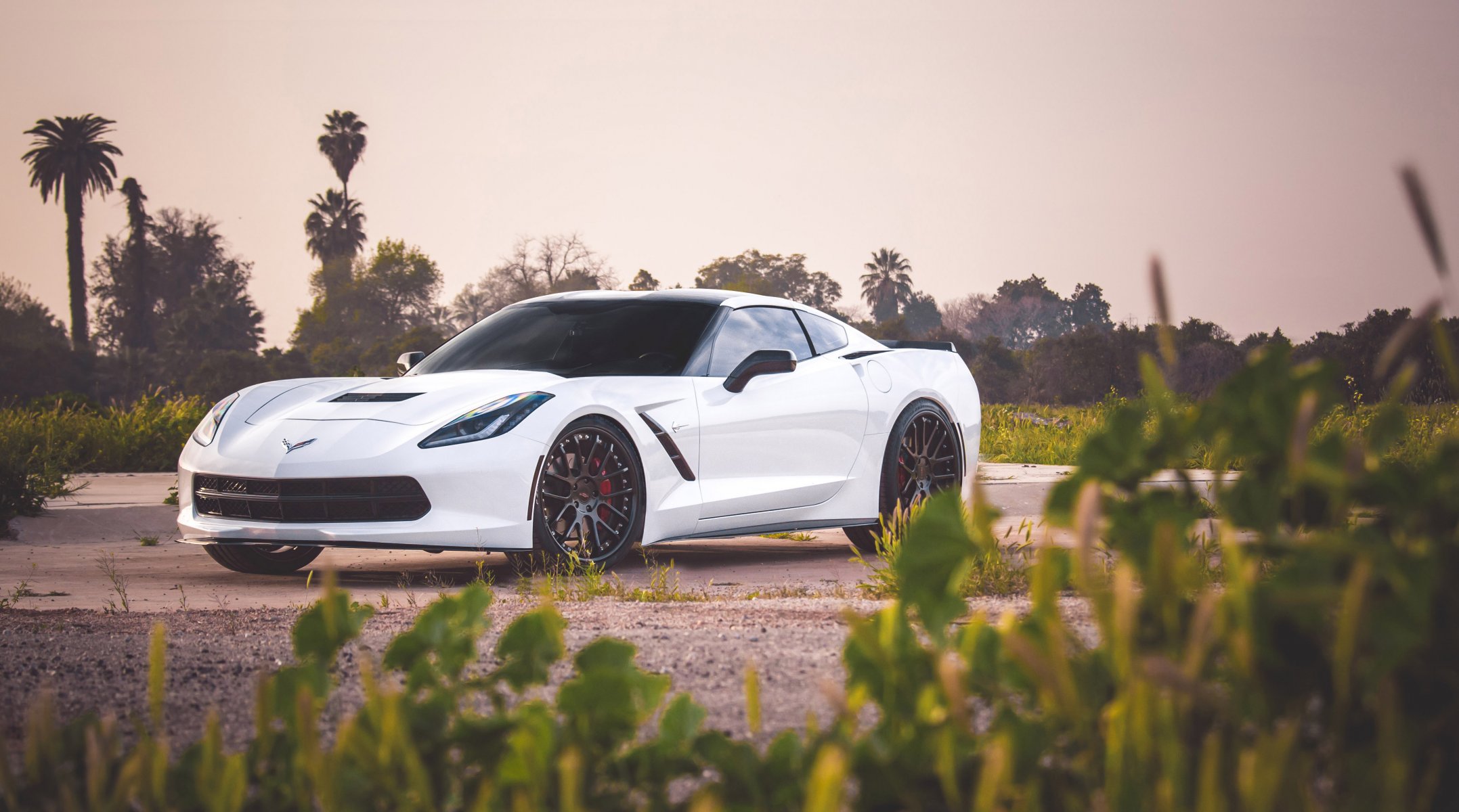 chevrolet corvette c7 z51 curva forjado fm7