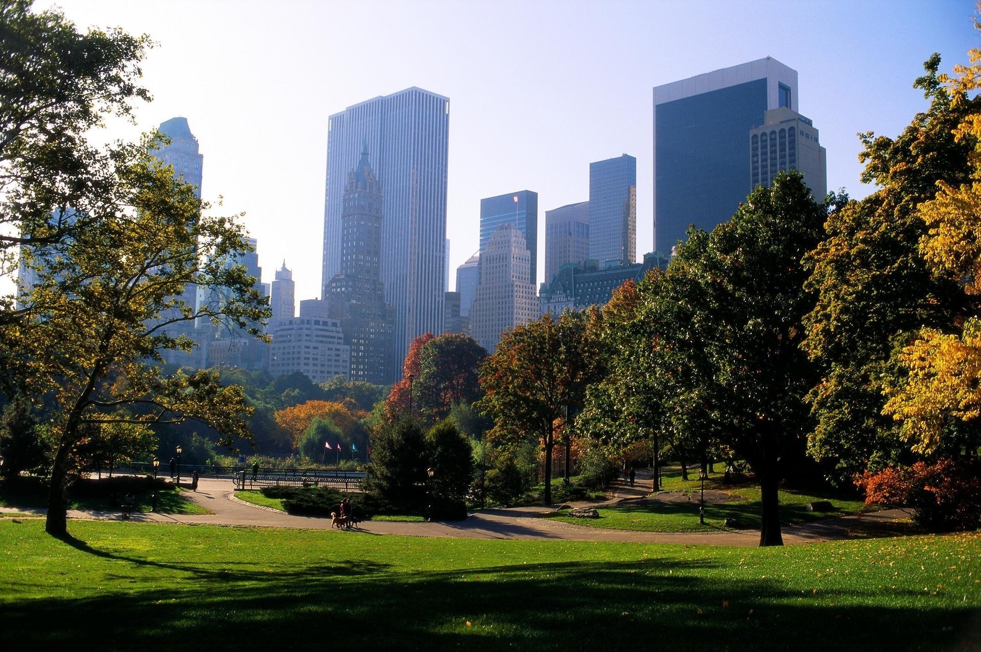 new york new york park park trees path paths city city usa america greenery lawn