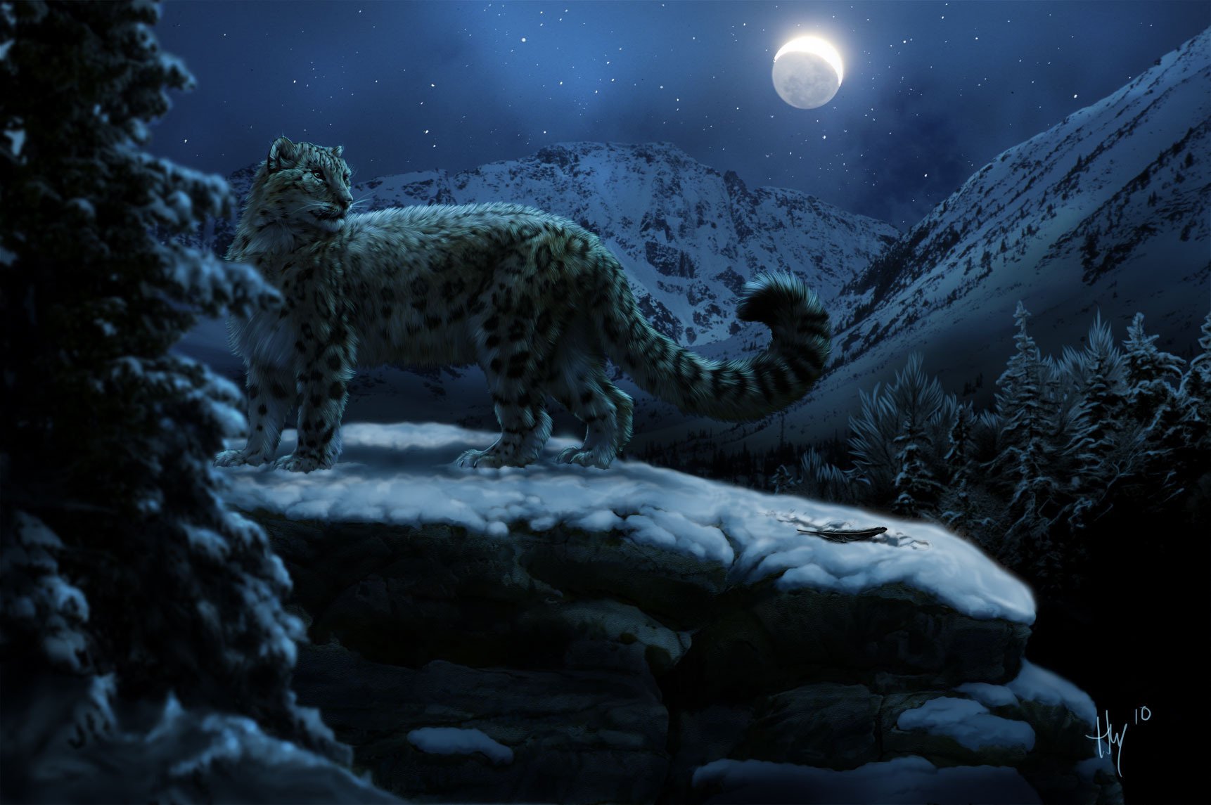 autore disegnato leopardo nevoso notte animali predatori felini neve montagne crepuscolo