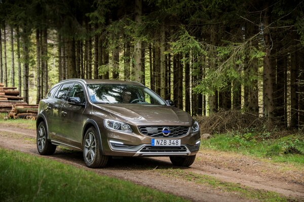 Volvo V60 2015 Beautiful road in the forest