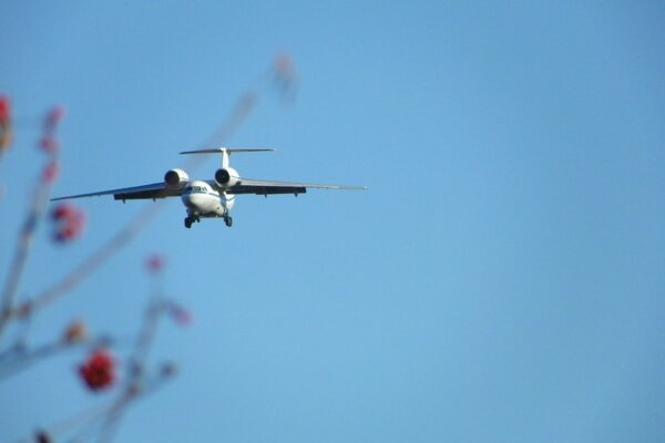 A big plane is landing