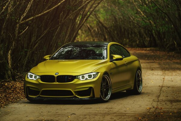 Voiture jaune sur l allée dans le parc