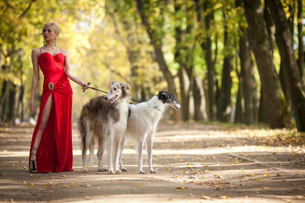 Hermosa chica en vestido rojo con dos perros