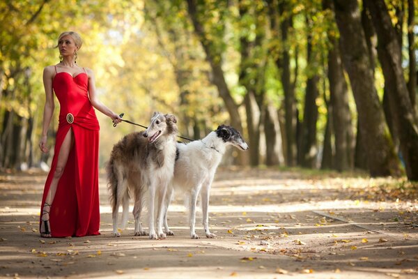 Bella ragazza in abito rosso con due cani