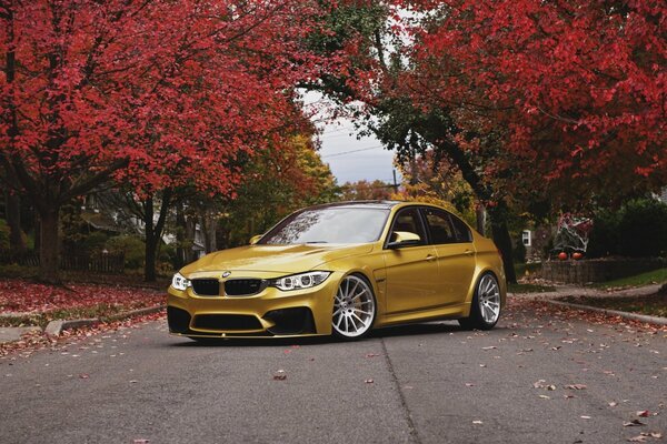Goldenes BMW-Auto vor dem Hintergrund des purpurroten Herbstlaubs