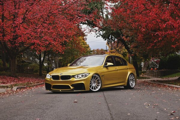 Auto bmw dorata su uno sfondo di fogliame autunnale cremisi