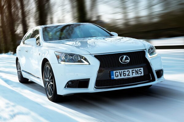 White sports Lexus on the winter track