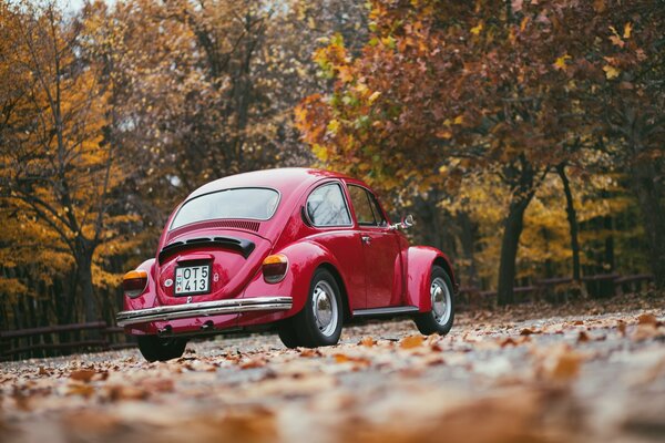 A small red car on an autumn day