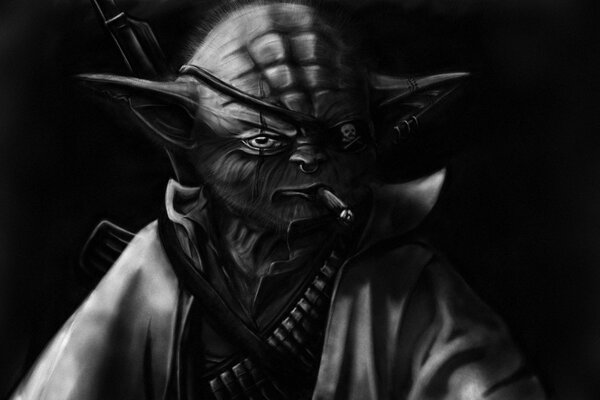 La réincarnation fantastique de Yoda en pirate