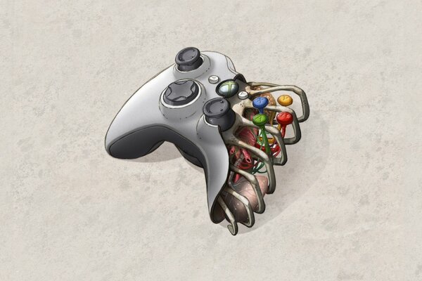 Immagine del gamepad con le sue viscere