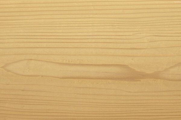 Textura de lona de madera clara