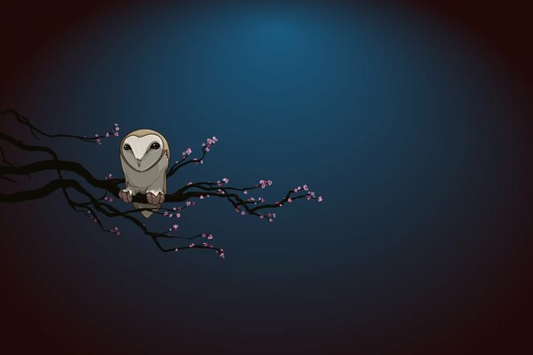 Owl on a dark background minimalistic drawing
