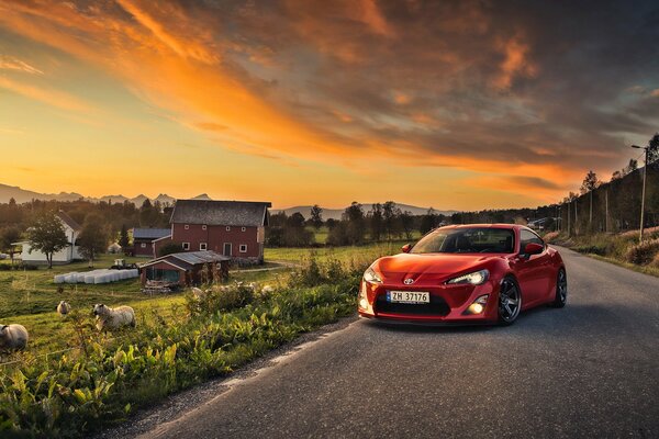 Toyota rossa sulla strada. Bellissimo paesaggio con pecore e cielo arancione