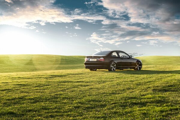 A black foreign car sedan rides on green grass