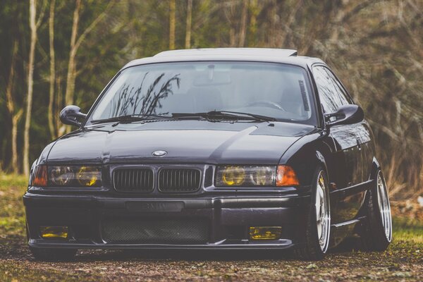 Black understated bmv m3 in the autumn forest