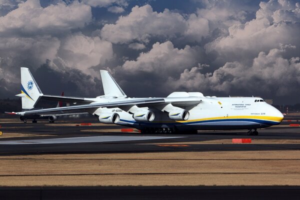 The plane on the runway against the background of gray clouds