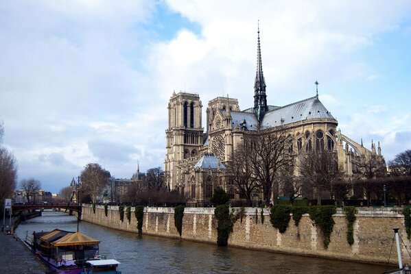 Die Kathedrale unserer Lieben Frau von Paris auf dem Hintergrund des Flusses