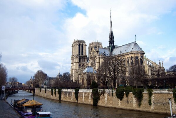 Catedral de Notre Dame en el fondo del río