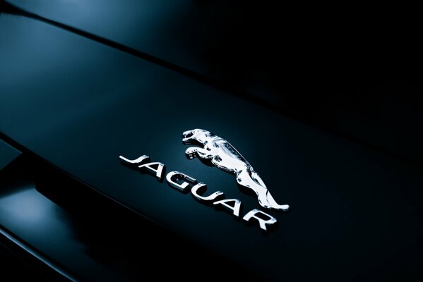 Задний значок и надпись jaguar сверкают при освещении