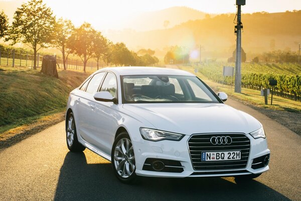 Audi a6 ist weiß auf der Straße