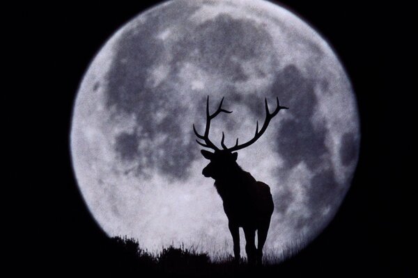 Silhouette of a red deer on the background of a black and white moon