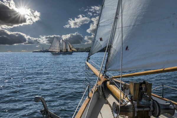 Les bateaux parcourent la baie avec des voiles déployées