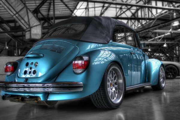 Foto succosa Volkswagen Beetle Blue