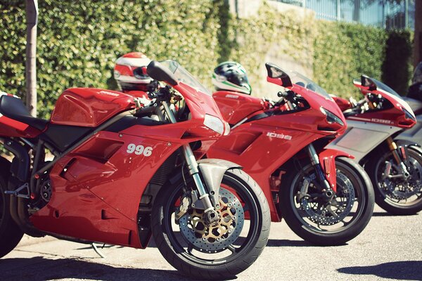 Rote Sportbikes werden zur Schau gestellt