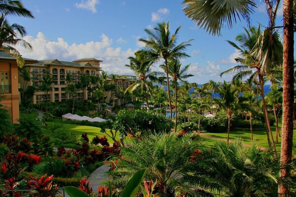 Palm trees, flowers, hotel near the sea